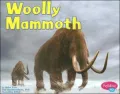 Woolly Mammoth