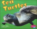Sea Turtles