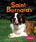 Saint Bernards