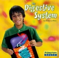 The Digestive System