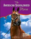 The American Saddlebred Horse