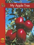 My Apple Tree