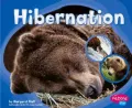 Hibernation