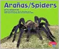 Arañas