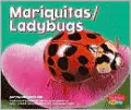 Mariquitas