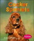 Cocker Spaniels