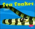 Sea Snakes