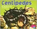 Centipedes
