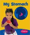 My Stomach