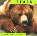 Bears