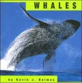 Whales