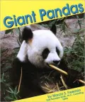 Giant Pandas, Vol. 4