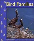 Bird Families