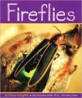 Fireflies