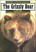 The Grizzly Bear