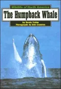The Humpback Whale