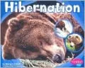Hibernation