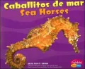 Caballitos De Mar/Sea horses