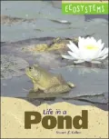 Life in a Pond