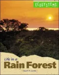 Life in a Rainforest