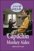 Capuchin Monkeys