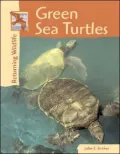 Green Sea Turtles