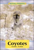 Coyotes