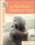 The Northern Elephant Seal