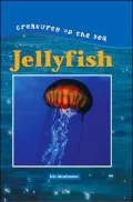 Jelly Fish