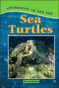 Sea Turtles