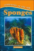 Sponges