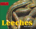 Leeches (Parasites Series)
