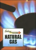Natural Gas