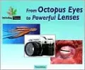 From Octopus Eyes to Powerful Lenses