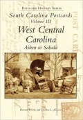 South Carolina Postcards, Volume 3 (Postcard History Series)