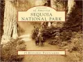 Sequoia National Park, California (Postcard Packets)