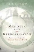 Mas Alla de la Reencarnacion