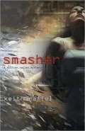 Smasher (Silicon Valley Series #2)