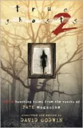 True Ghosts 2: More Haunting Tales from the Vaults of Fate Magazine, Vol. 2