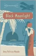 Black Moonlight (Marjorie McClelland Mystery Series #4)