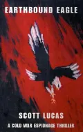Earthbound Eagle