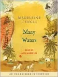 Many Waters