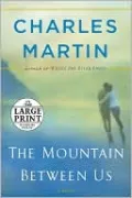 The Mountain Between Us