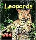 Leopards