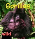 Gorillas
