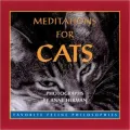 Meditations for Cats: Favorite Feline Philosophies