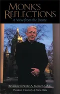 Monk's Reflection: A View from the Dome