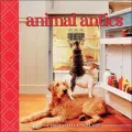 Animal Antics