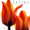 Tulips 2004 Calendar