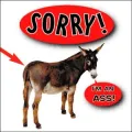 Sorry I'm an Ass!: The Less Said the Better